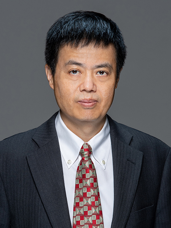 Prof ZHANG Hongjie