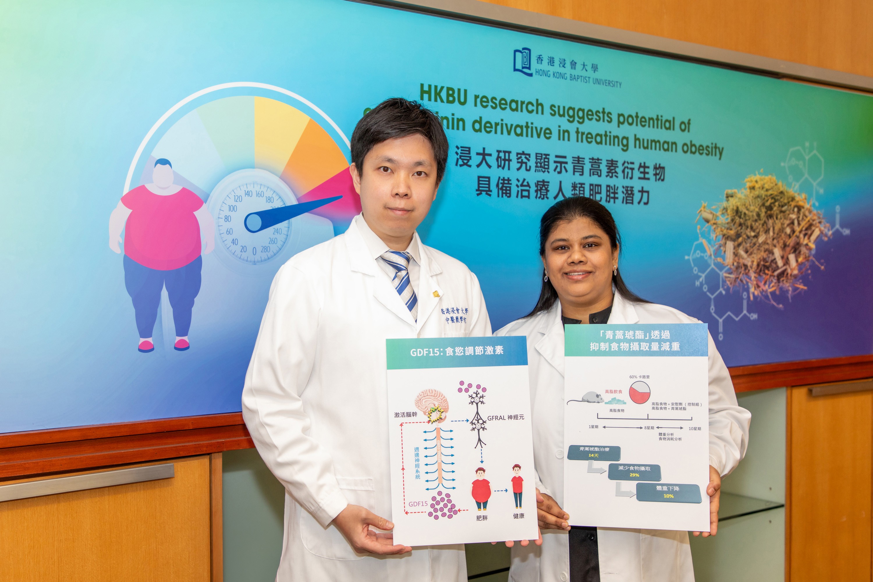 SCM’s research unleashes potential of artemisinin derivative in treating human obesity